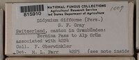 Image Associated With the Occurence